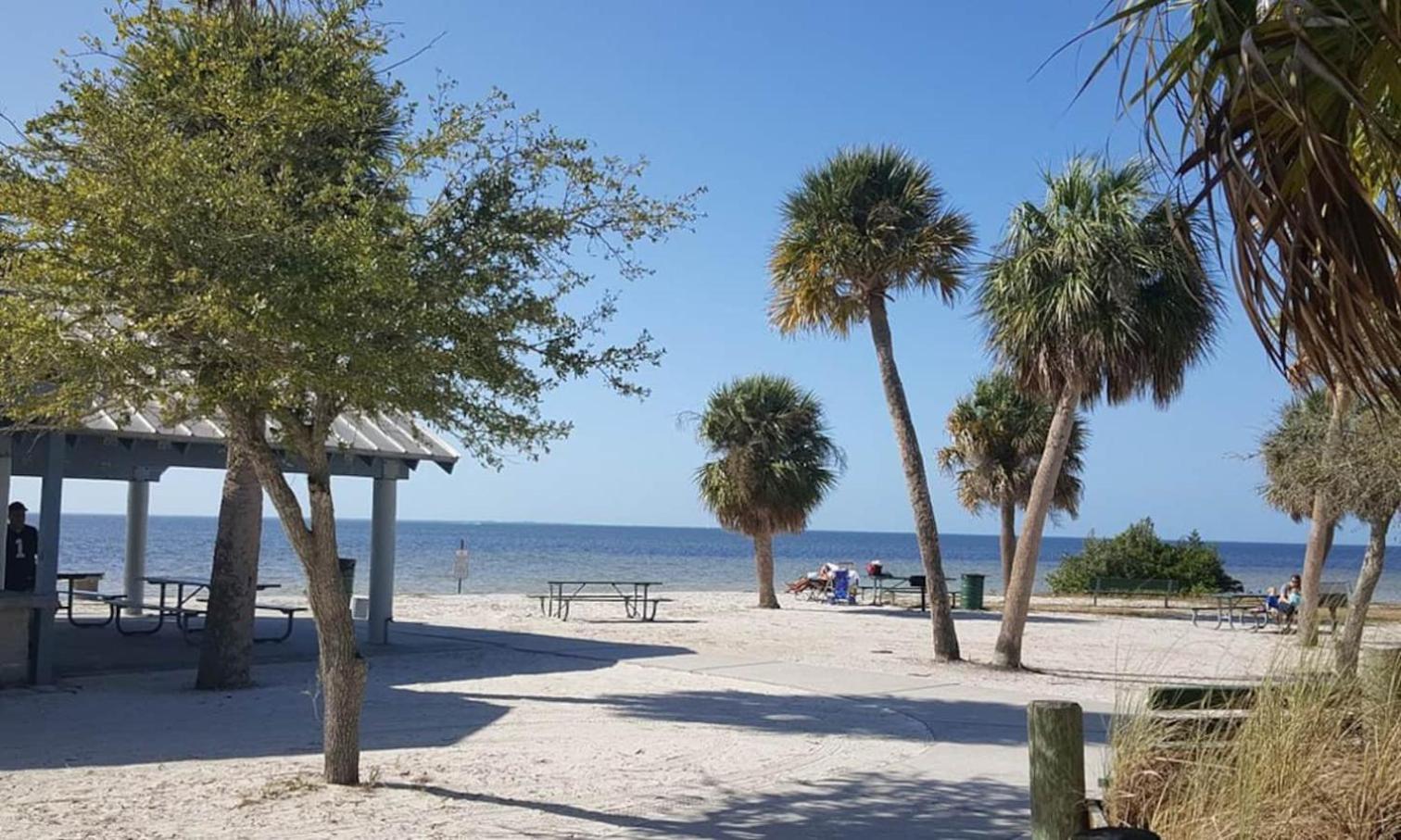 Walk Everywhere! 1-Bedroom Gem In Downtown Hub New Port Richey Εξωτερικό φωτογραφία