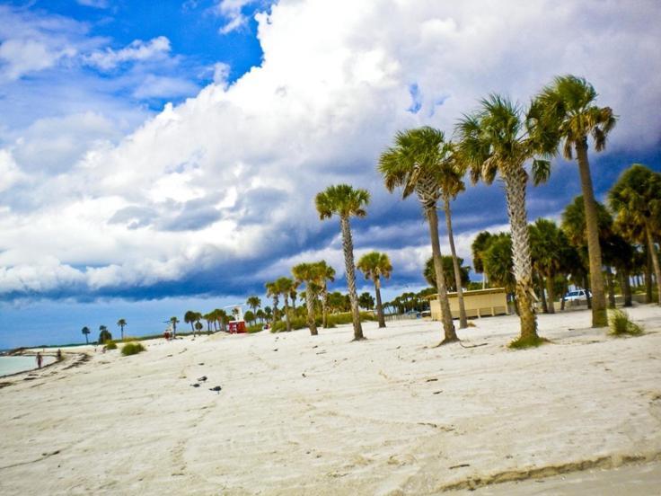 Walk Everywhere! 1-Bedroom Gem In Downtown Hub New Port Richey Εξωτερικό φωτογραφία